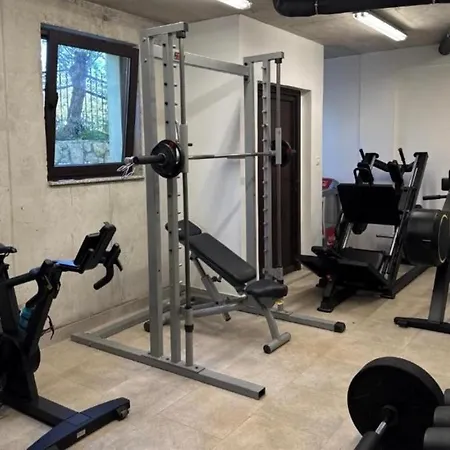Lukas 1- Icici- Pool, Gym, Near Opatija *